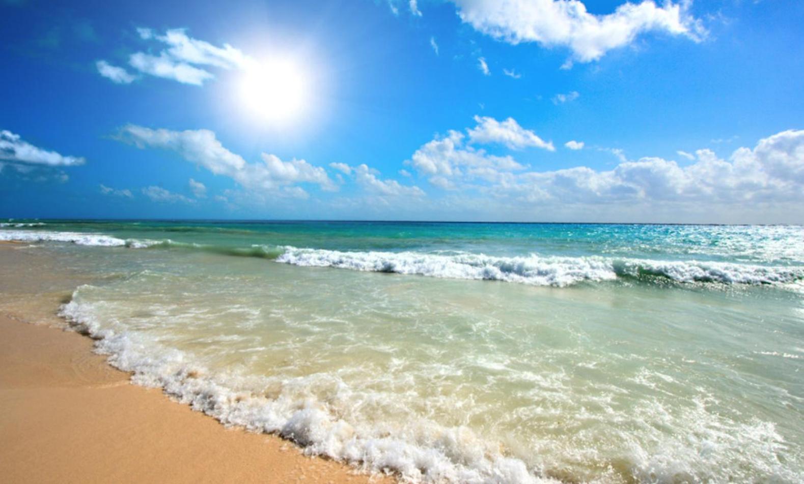 Chateau Del Mar C31A Studio Sunny Beach Eksteriør billede